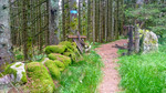 photo thumbnail #8