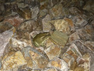photo thumbnail #1