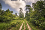 photo thumbnail #1