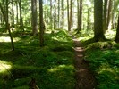 photo thumbnail #5