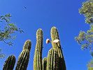 photo thumbnail #1