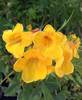 photo thumbnail #11
