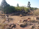 photo thumbnail #7