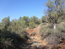 photo thumbnail #10