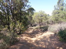 photo thumbnail #13