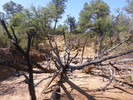 photo thumbnail #15