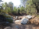 photo thumbnail #14