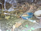 photo thumbnail #9