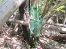 photo thumbnail #10