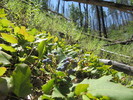 photo thumbnail #13
