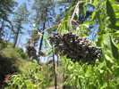 photo thumbnail #14