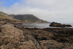 photo thumbnail #14
