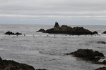 photo thumbnail #15