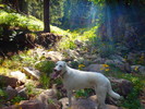 photo thumbnail #2
