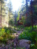 photo thumbnail #3