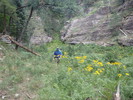 photo thumbnail #11