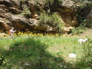 photo thumbnail #12