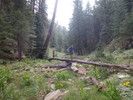 photo thumbnail #14