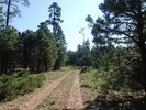 photo thumbnail #1