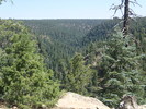photo thumbnail #10