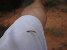 photo thumbnail #3