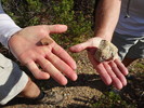 photo thumbnail #2
