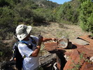 photo thumbnail #3