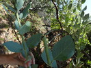 photo thumbnail #5