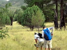 photo thumbnail #8