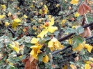 photo thumbnail #9
