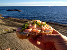 photo thumbnail #4