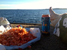 photo thumbnail #3