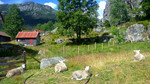 photo thumbnail #6