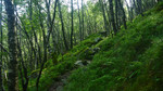 photo thumbnail #15