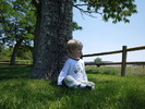 photo thumbnail #12