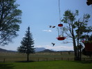 photo thumbnail #5