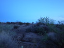 photo thumbnail #1