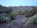 photo thumbnail #2