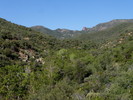 photo thumbnail #9