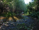 photo thumbnail #13