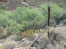 photo thumbnail #8