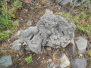 photo thumbnail #11