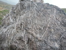 photo thumbnail #12