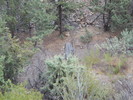 photo thumbnail #13