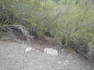 photo thumbnail #14