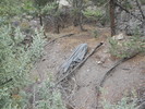 photo thumbnail #15