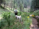 photo thumbnail #3