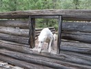 photo thumbnail #9