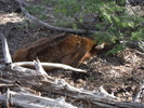 photo thumbnail #2