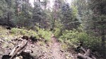 photo thumbnail #10